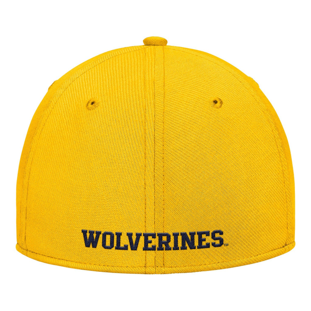 Michigan Wolverines Nike Jordan Yellow FlexFit Rise Adjustable Gameday Hat